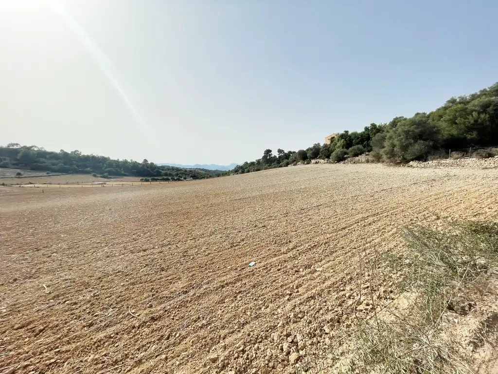 Rural land for sale in Sineu, imagen 13