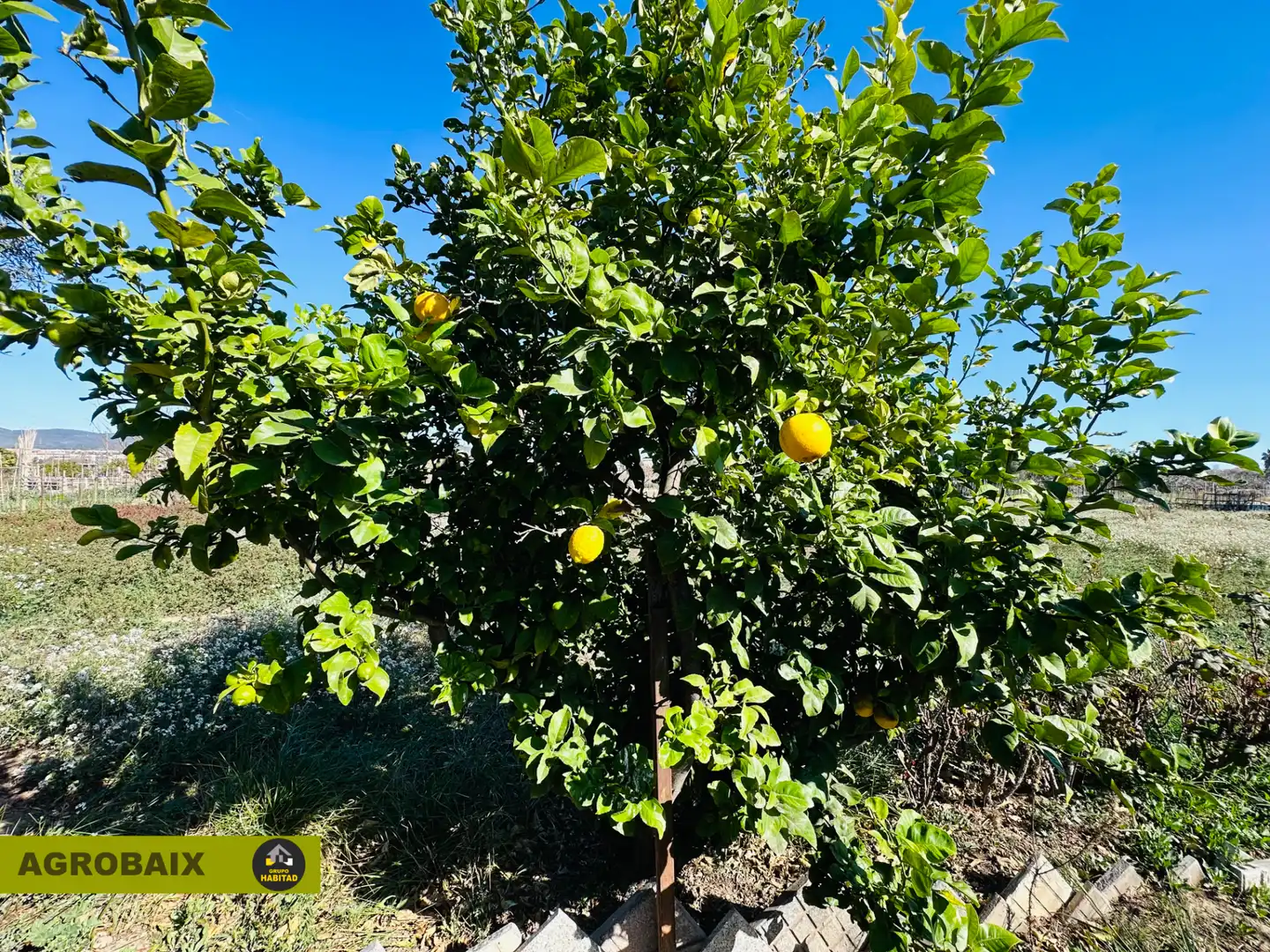 Terreno en venta en Sant Joan Despí