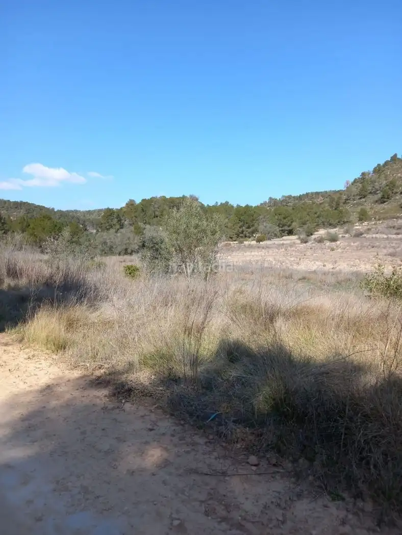 Rustikales Grundstück zum Verkauf in Carrer de l'Església 35, imagen 17