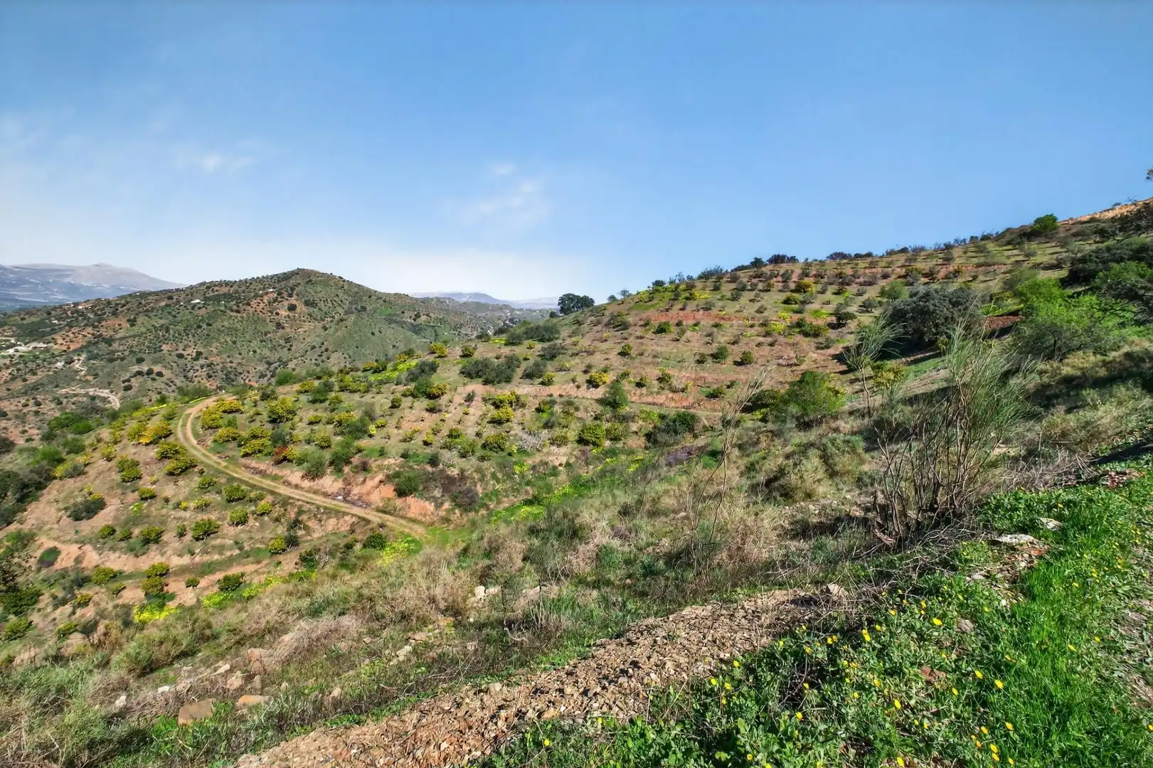 Residencial en venta en Cártama