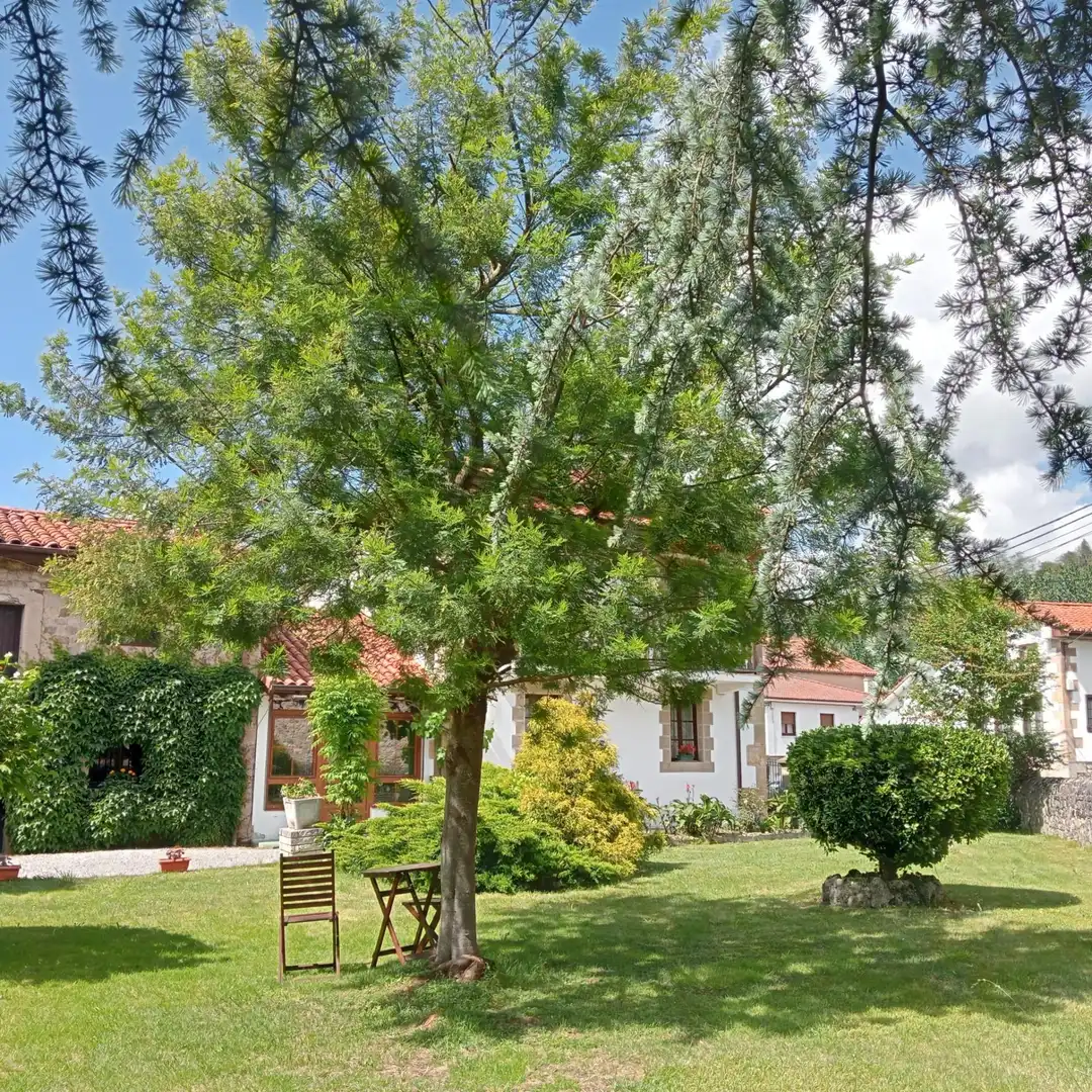 Haus mit Garten zum Verkauf in ARENAS-LA HERRAN, imagen 24