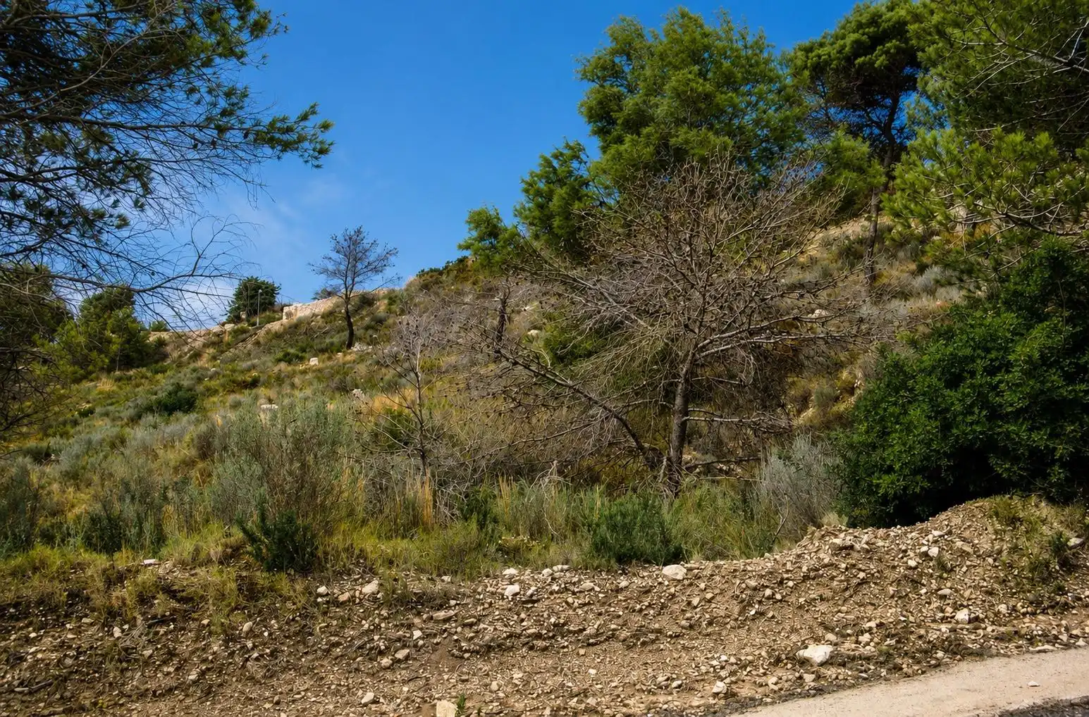 Wohnbaugrundstück zum Verkauf in La Empedrola, imagen 4