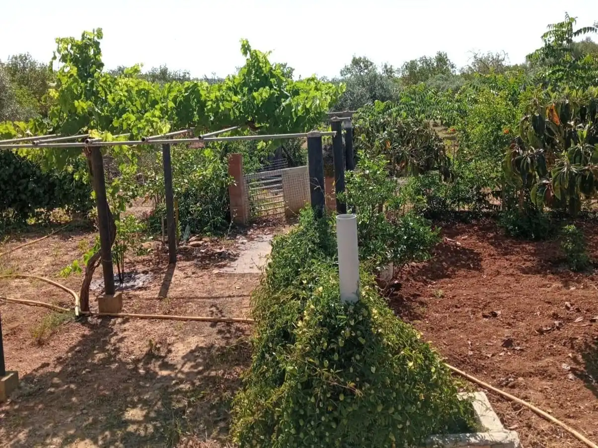 Casa o chalet en venta en Porreres