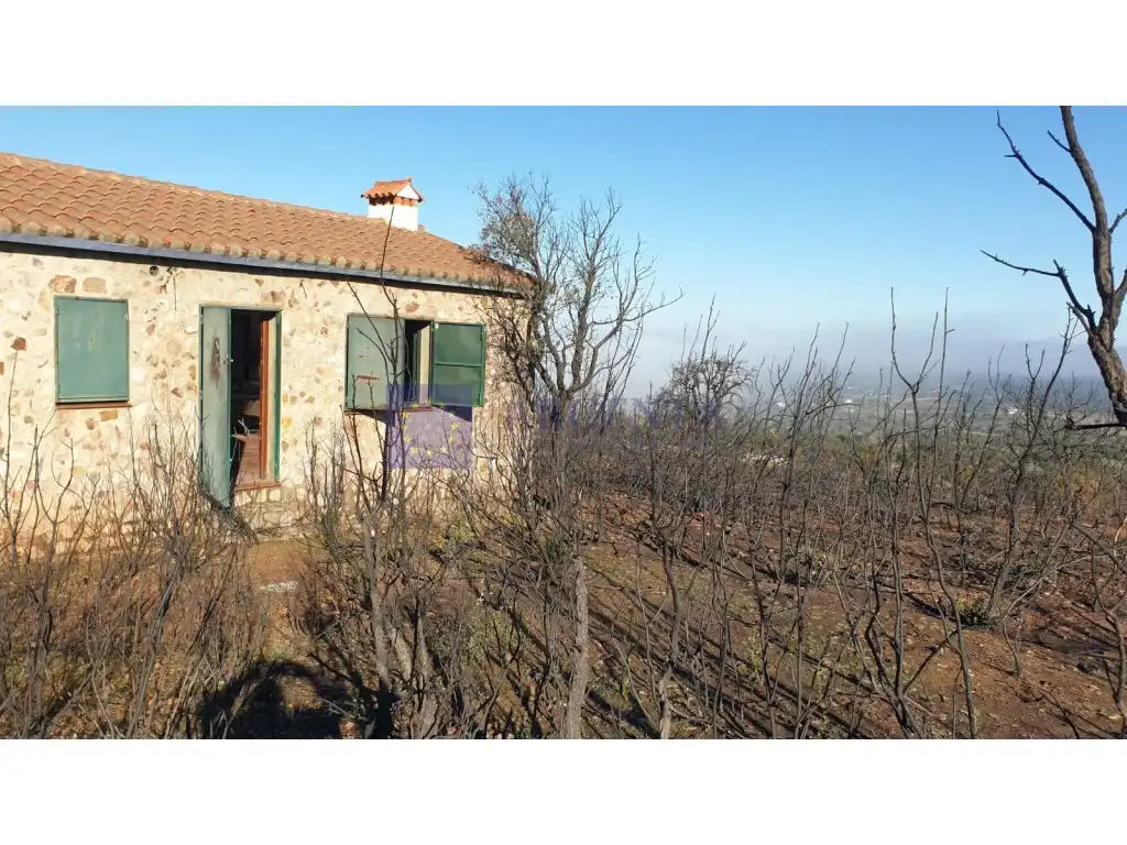 Finca rústica en venta en Aliseda