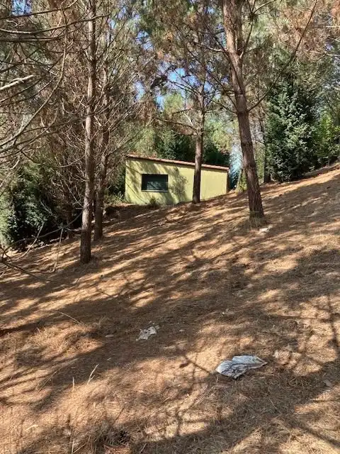 Casa o xalet en venda en Carballo amb Terrassa i Forn