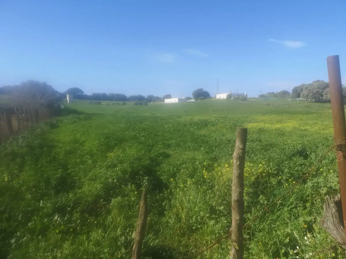 Rural land for sale in La Muela, imagen 2