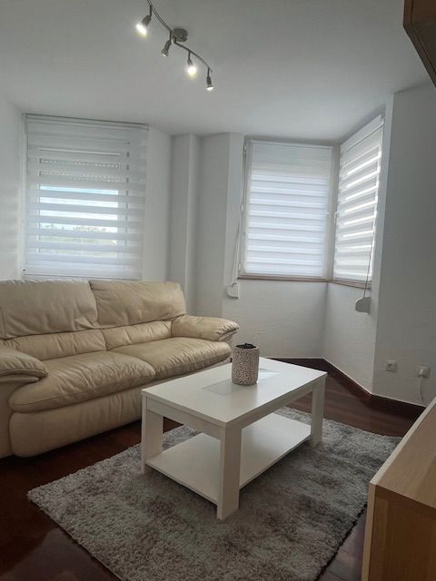 Living room of Flat to rent in Santa Cruz de Bezana  with Heating, Private garden and Parquet flooring