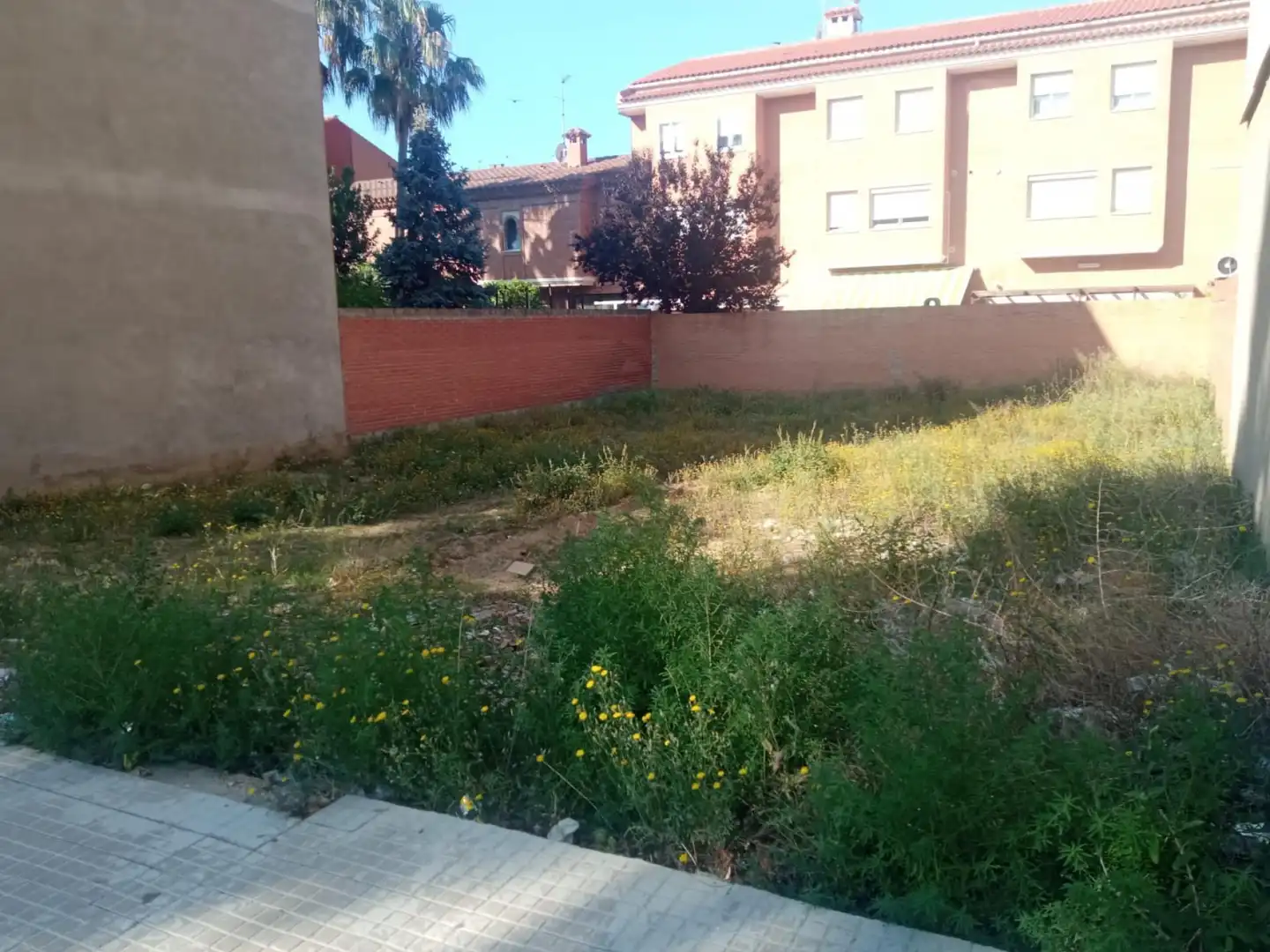 Terreno residencial en venta en de Gimbernat, imagen 3