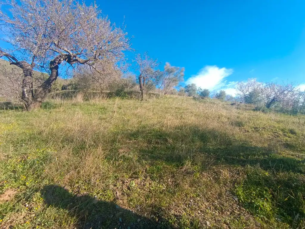 Terreno rústico en venta en Avenida Huerta De La, imagen 15