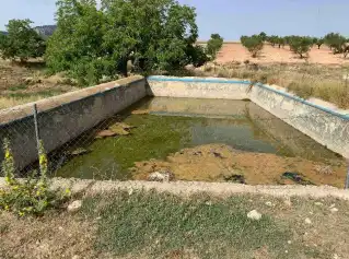 Piscina de Terreny en venda en Vélez-Rubio