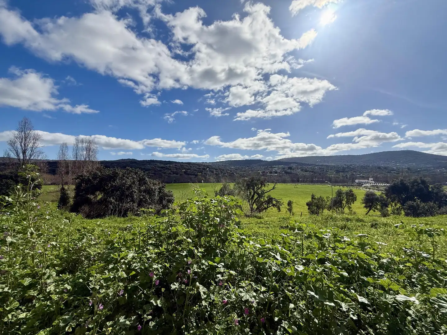 Flat for sale in Zona Norte - Hospital - Urbanizaciones