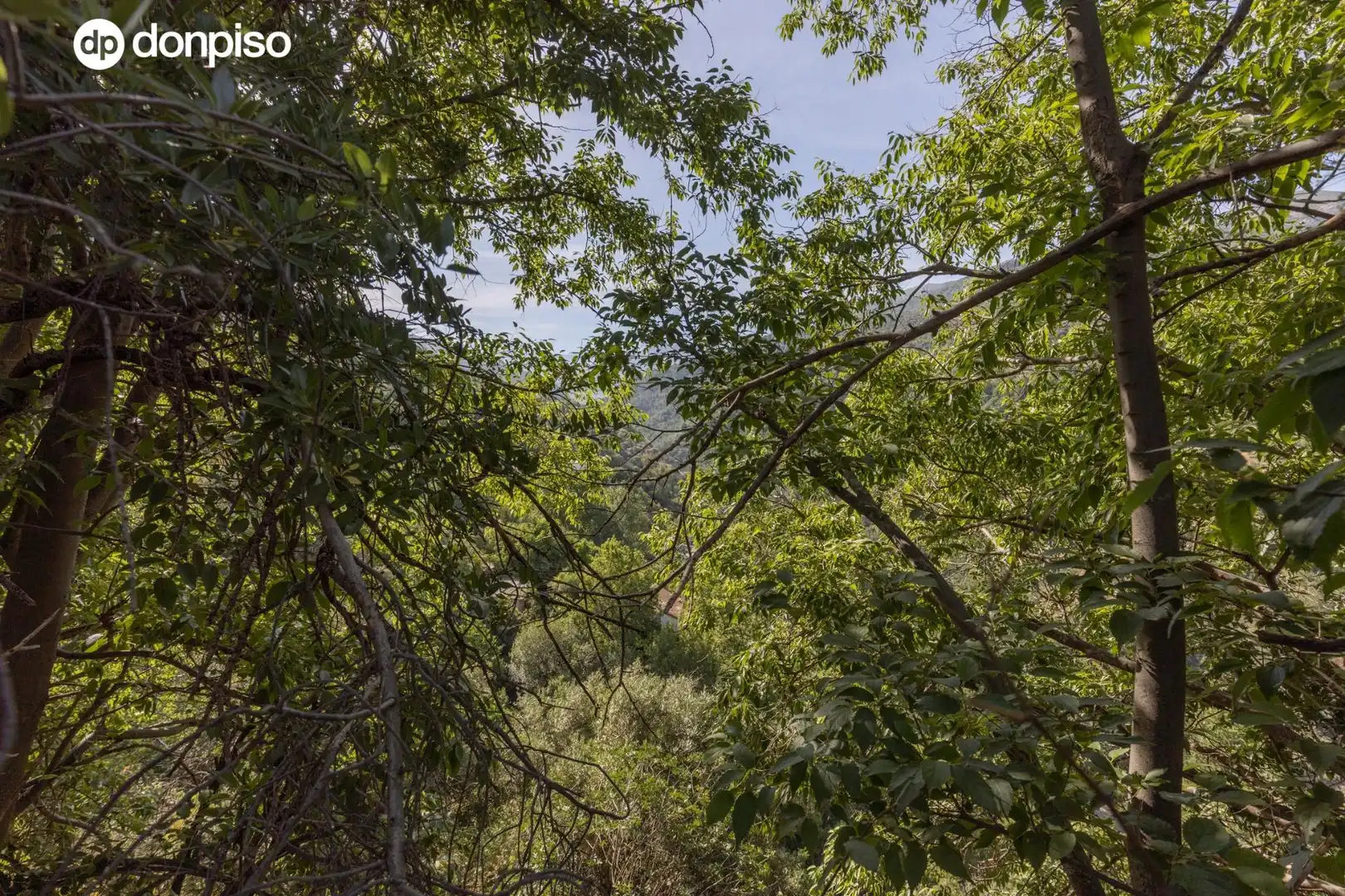 Lands and plots for sale in Carretera de Maitena, imagen 8