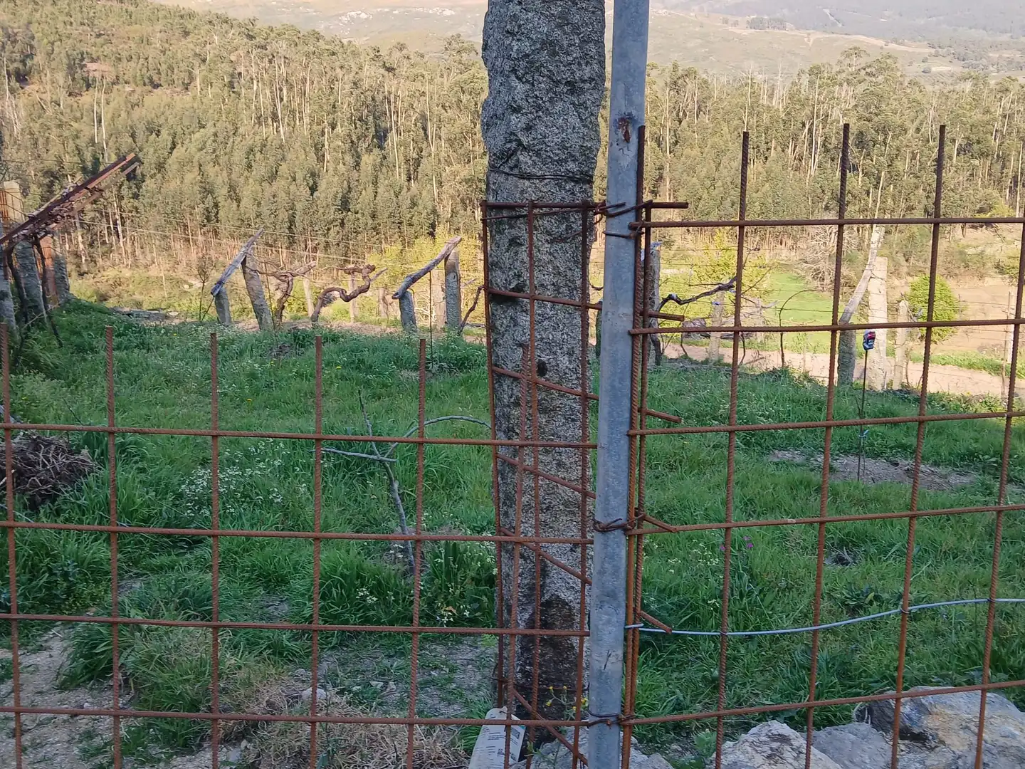 Casa o chalet en venta en As Neves   con Jardín privado