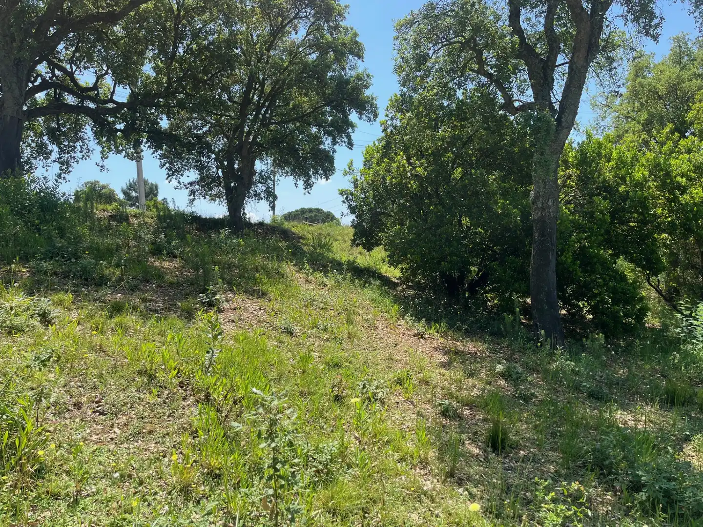 Terrain résidentiel à vendre à Carrer de la Cerdanya 1804, imagen 5