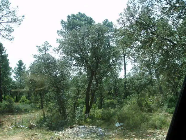 Terreni e lotti in vendita a Motilla del Palancar, imagen 12