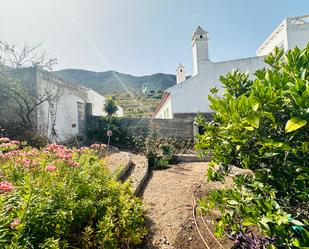 Vista exterior de Casa o xalet en venda en Los Silos amb Terrassa