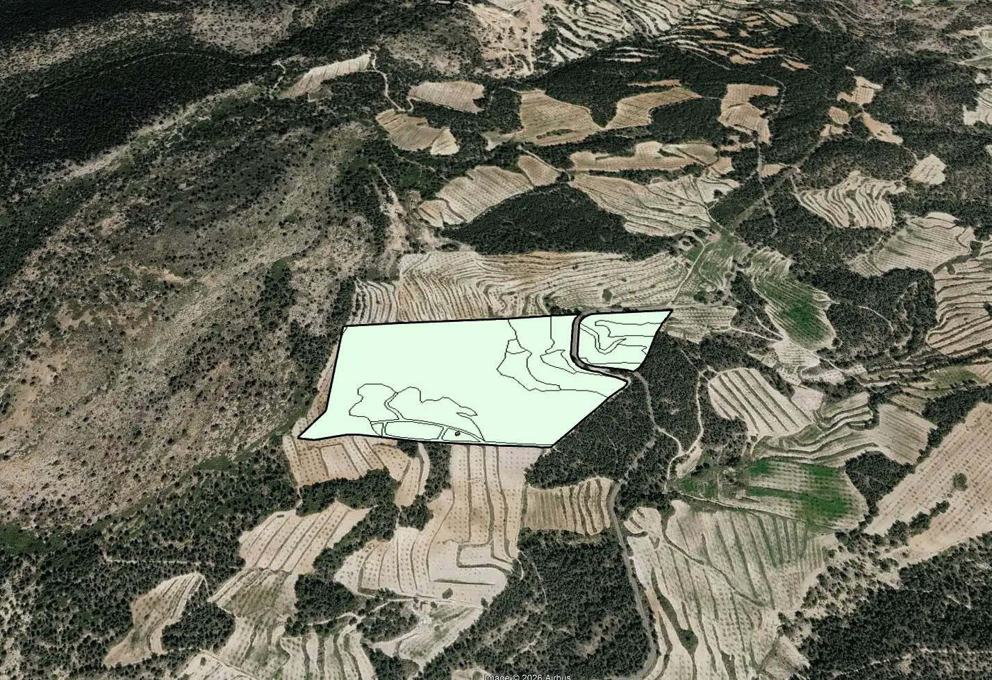 Lands and plots for sale in Mula, imagen 6