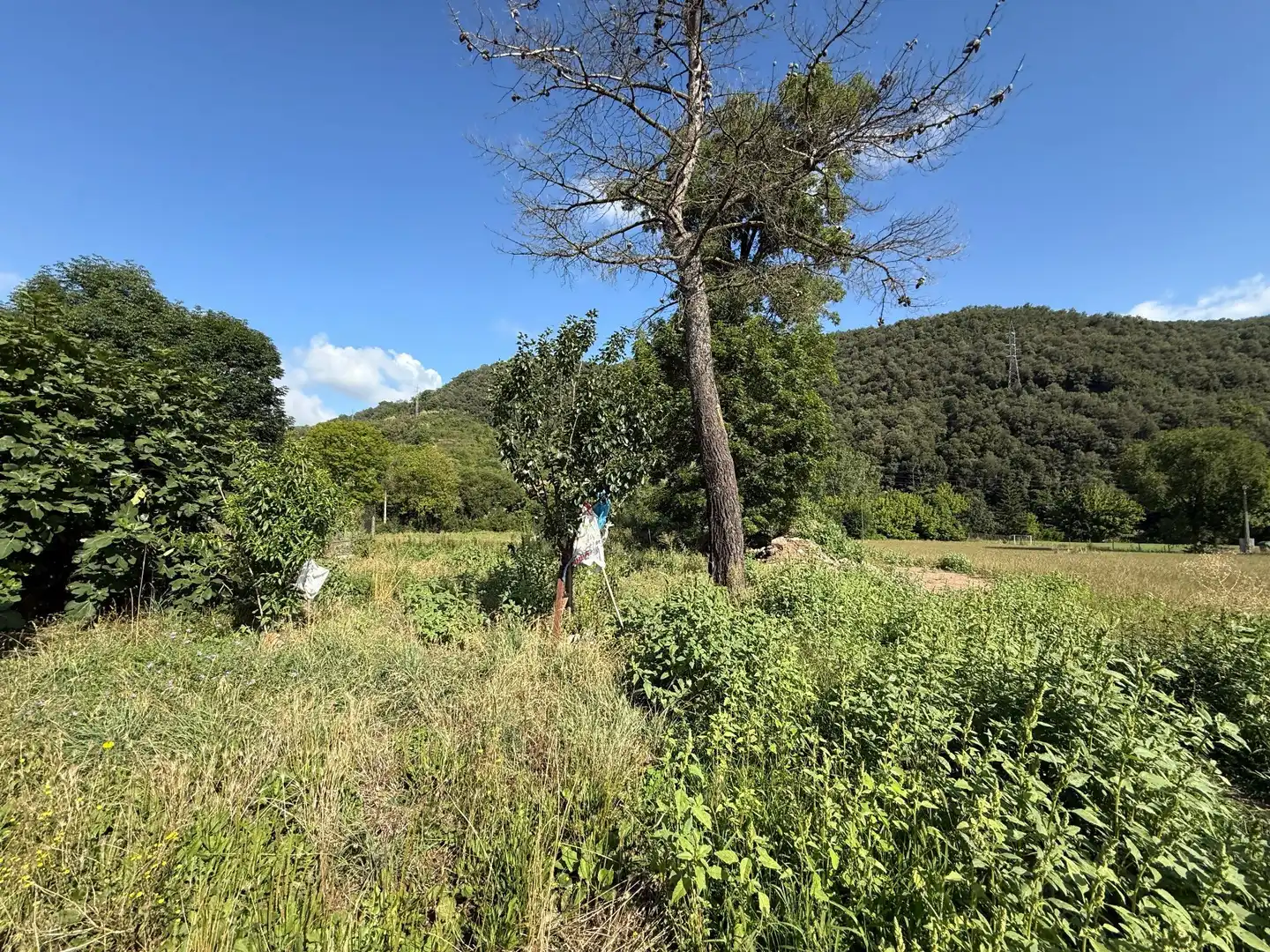 Casa o chalet en venta en Olot