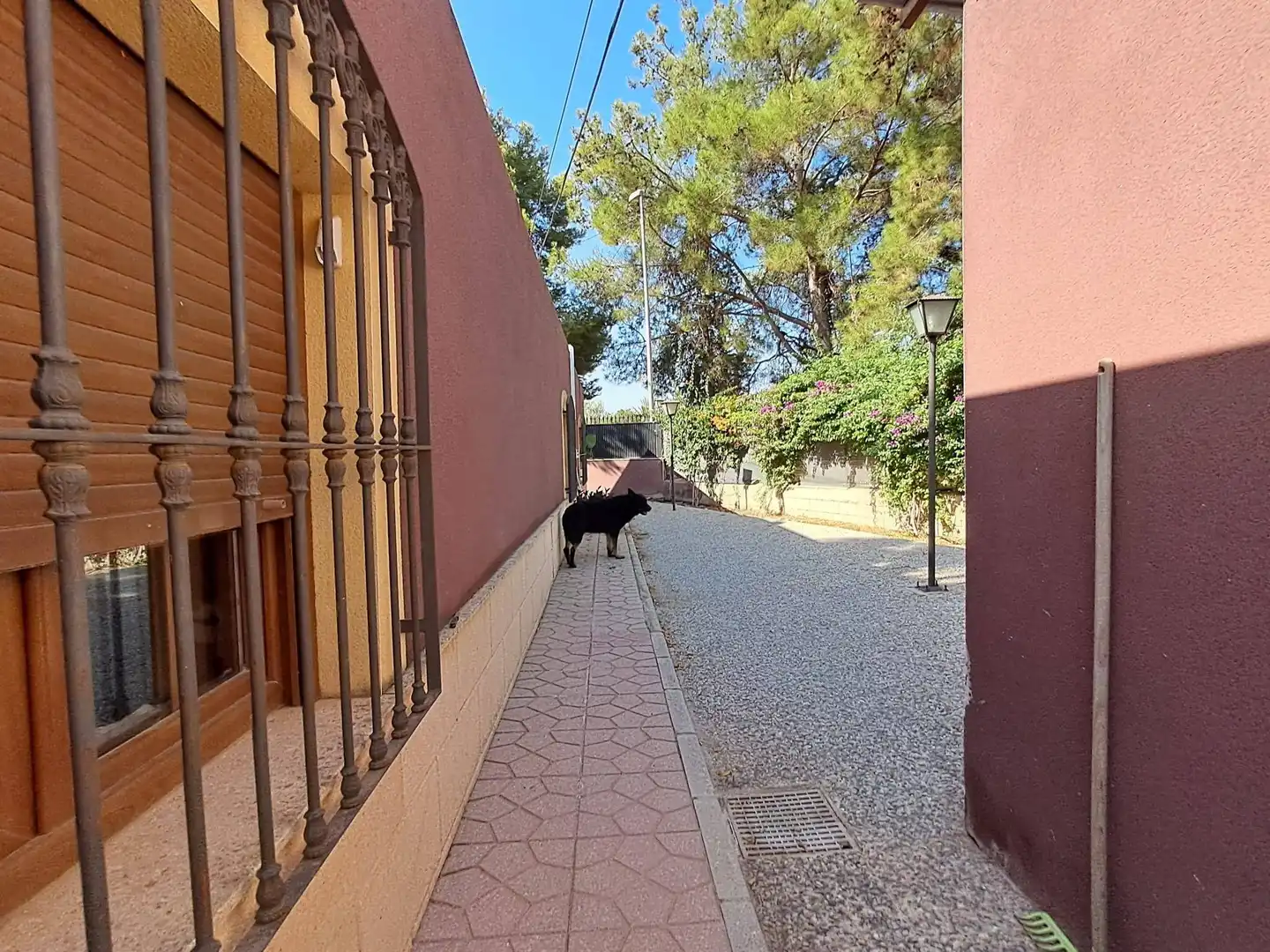 House with pool for sale in Camino DE LOS JABONEROS, imagen 52