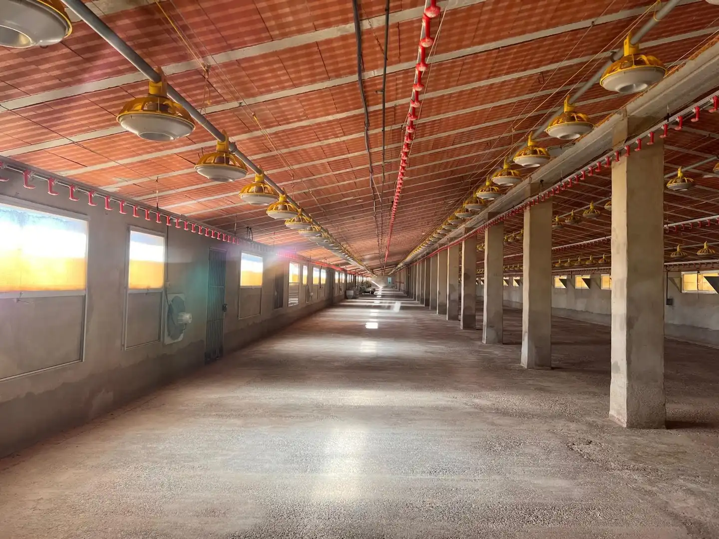 Nave industrial in vendita a Andilla, imagen 2