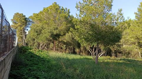 Photo 5 of Residential for sale in Son Ramonell - Es Figueral, Marratxí