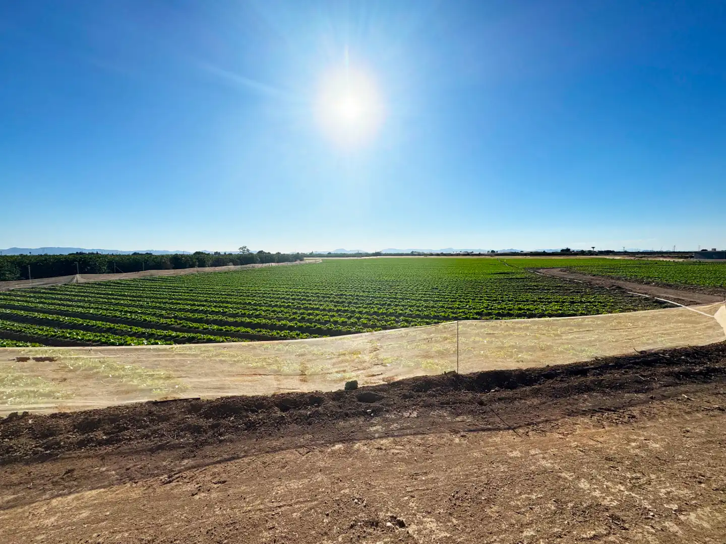 Lands and plots for sale in Diseminado Meroños 175, imagen 3