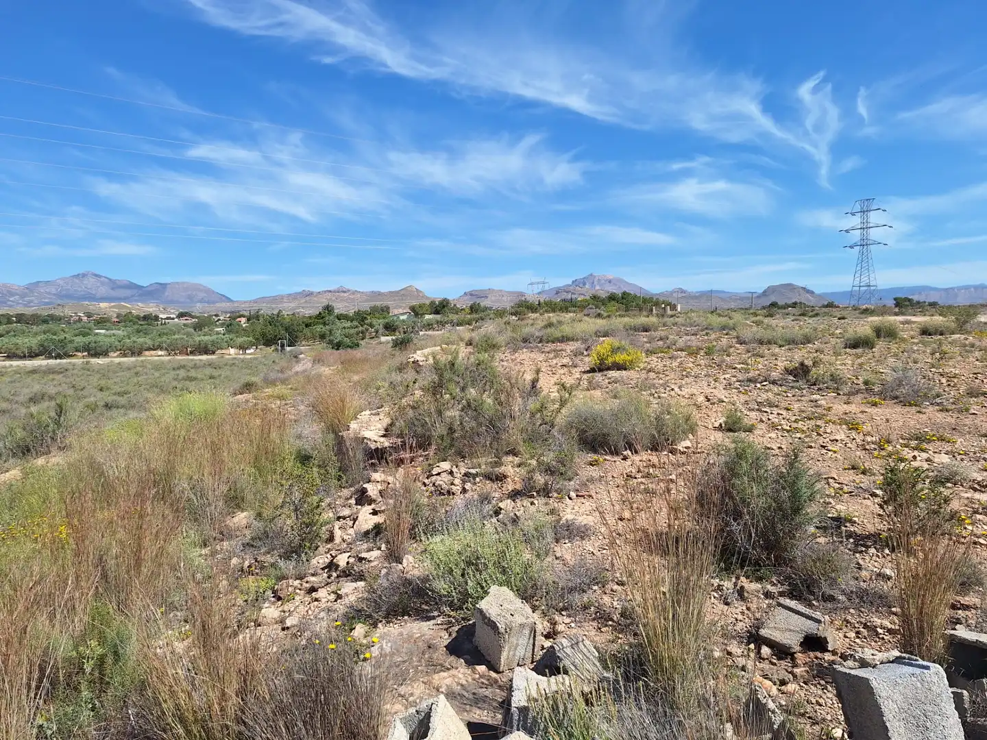 Rural land for sale in Los Girasoles, imagen 8