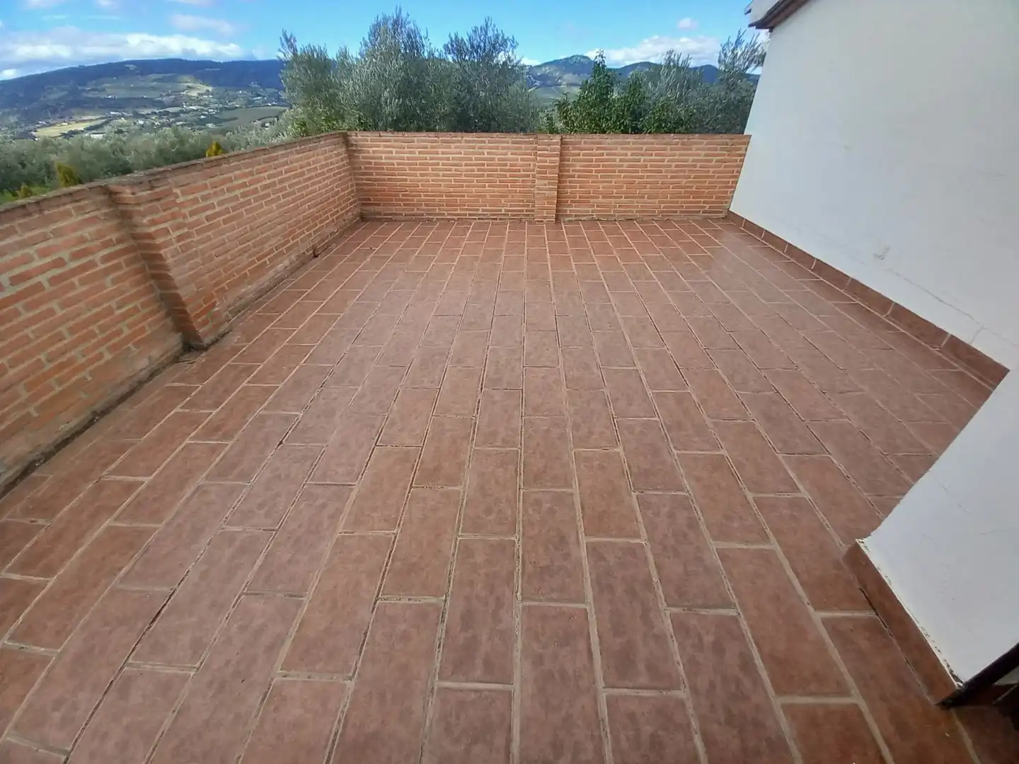 Finca rústica en venta en Arriate