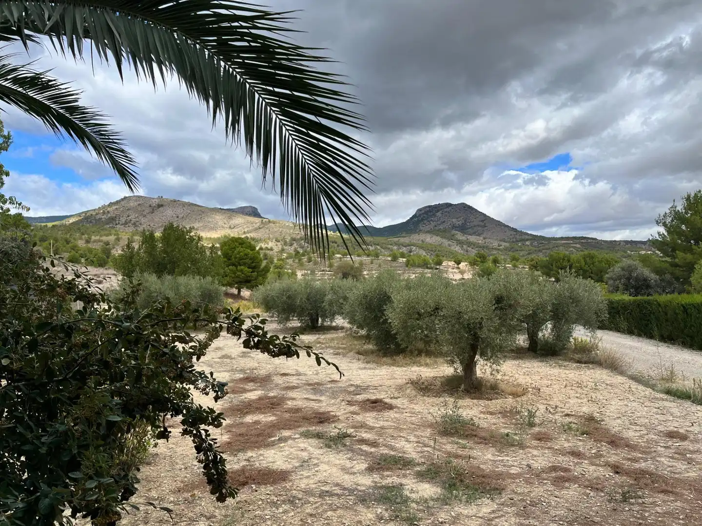 Casa rústica amb piscina en venda a Camino VIAL-5(EL LLANO), imagen 3