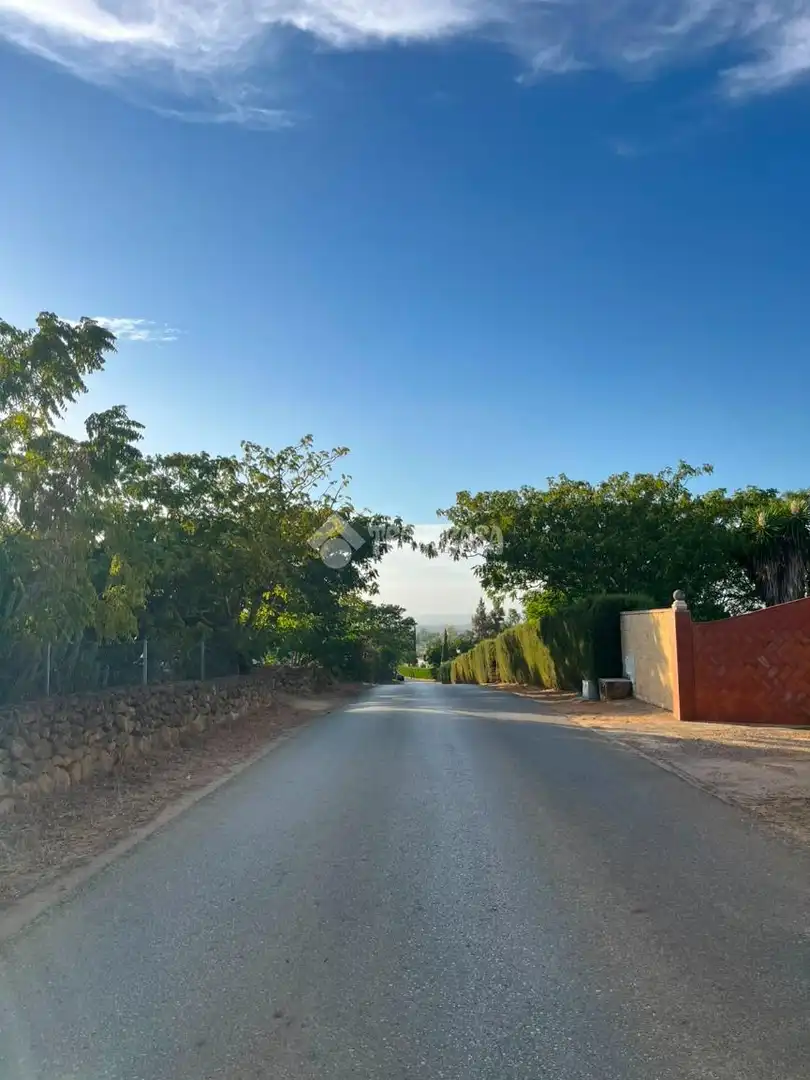 Vista exterior de Finca rústica en venta en Carmona