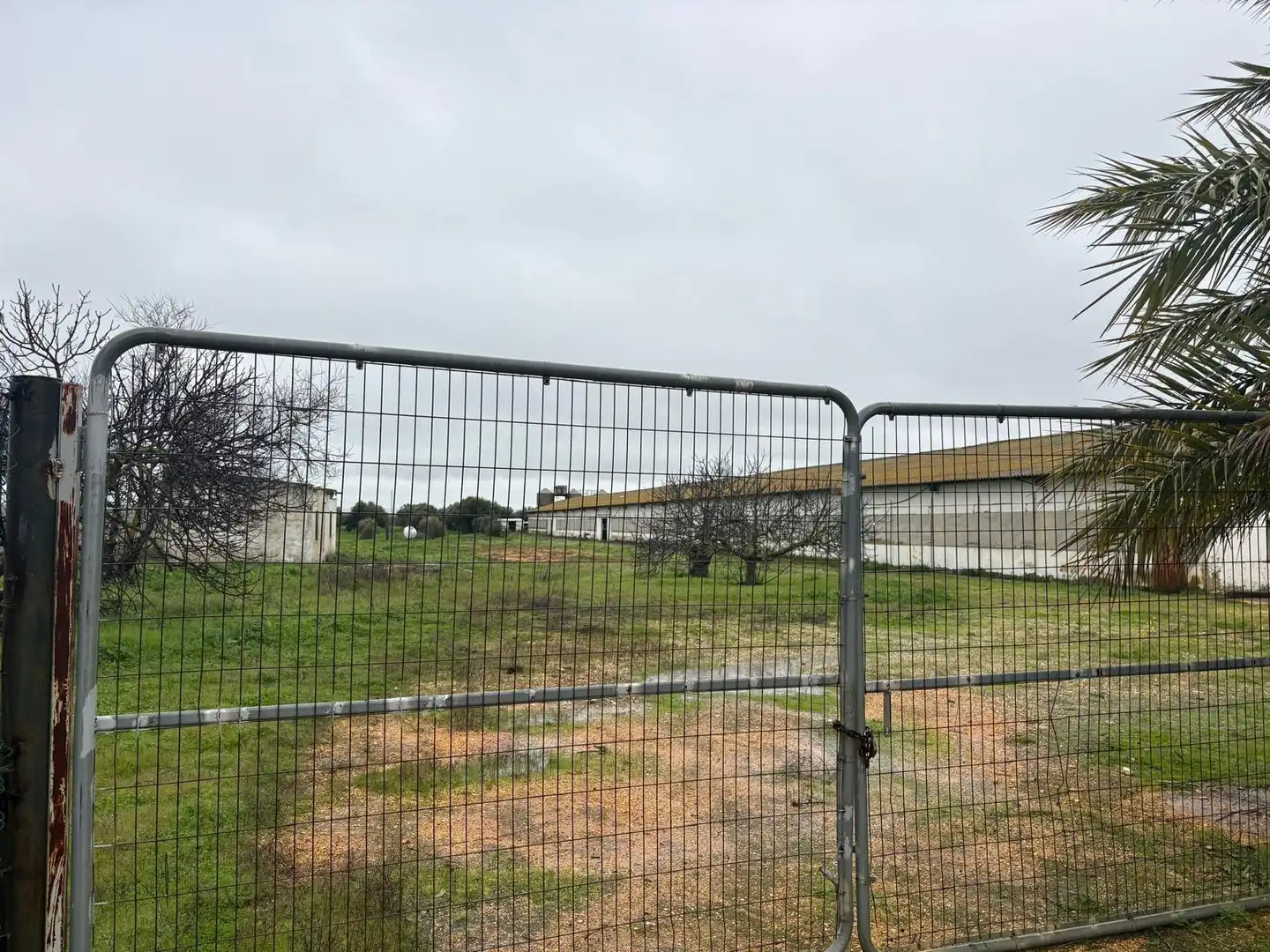 Terreno rustico in vendita a La Orden, imagen 11