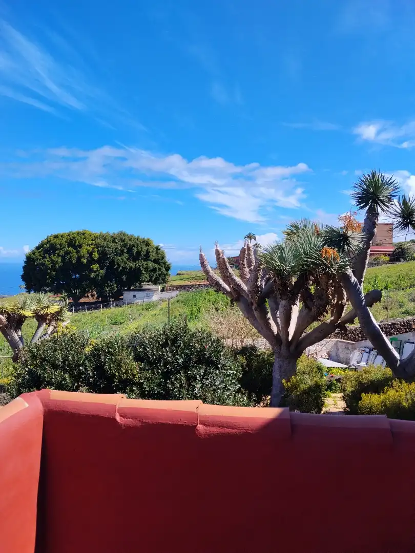 Villa mit Pool zum Verkauf in Camino de la Mina 10, imagen 40