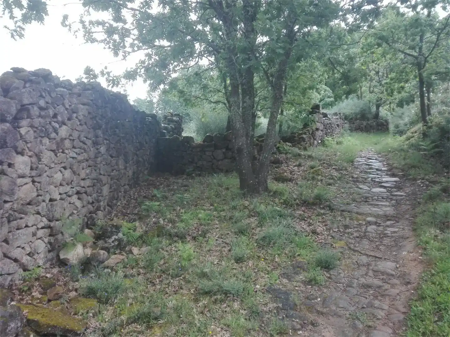 Terreno en venta en Hoyos