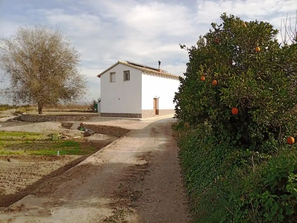 Vista exterior de Casa o chalet en venta en Xàtiva con Aire acondicionado, Jardín privado y Terraza