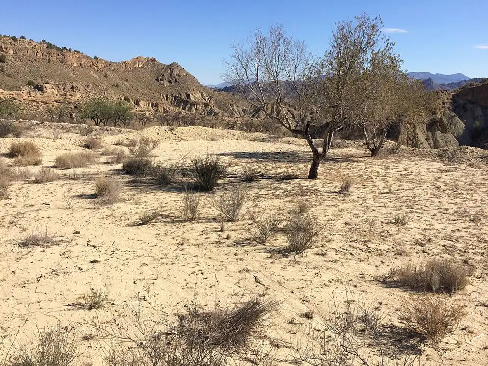 Grundstücke und Bauplätze zum Verkauf in Paraje la Cuesta Alta, imagen 8