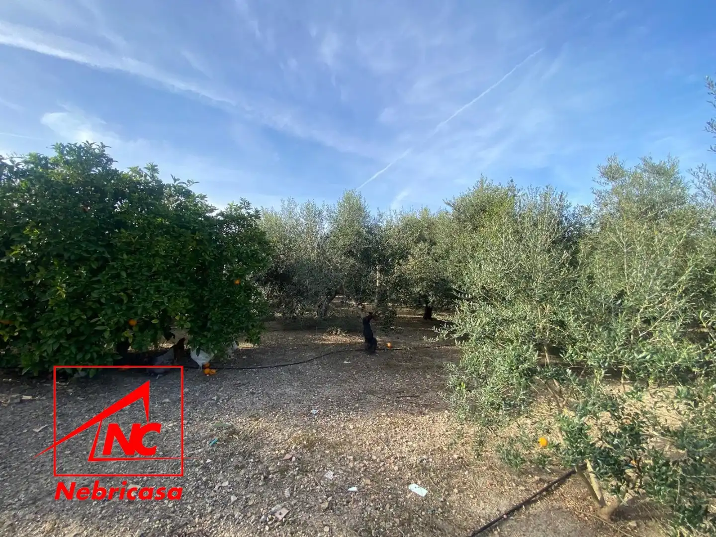 Finca rústica en venta en Las Cabezas de San Juan