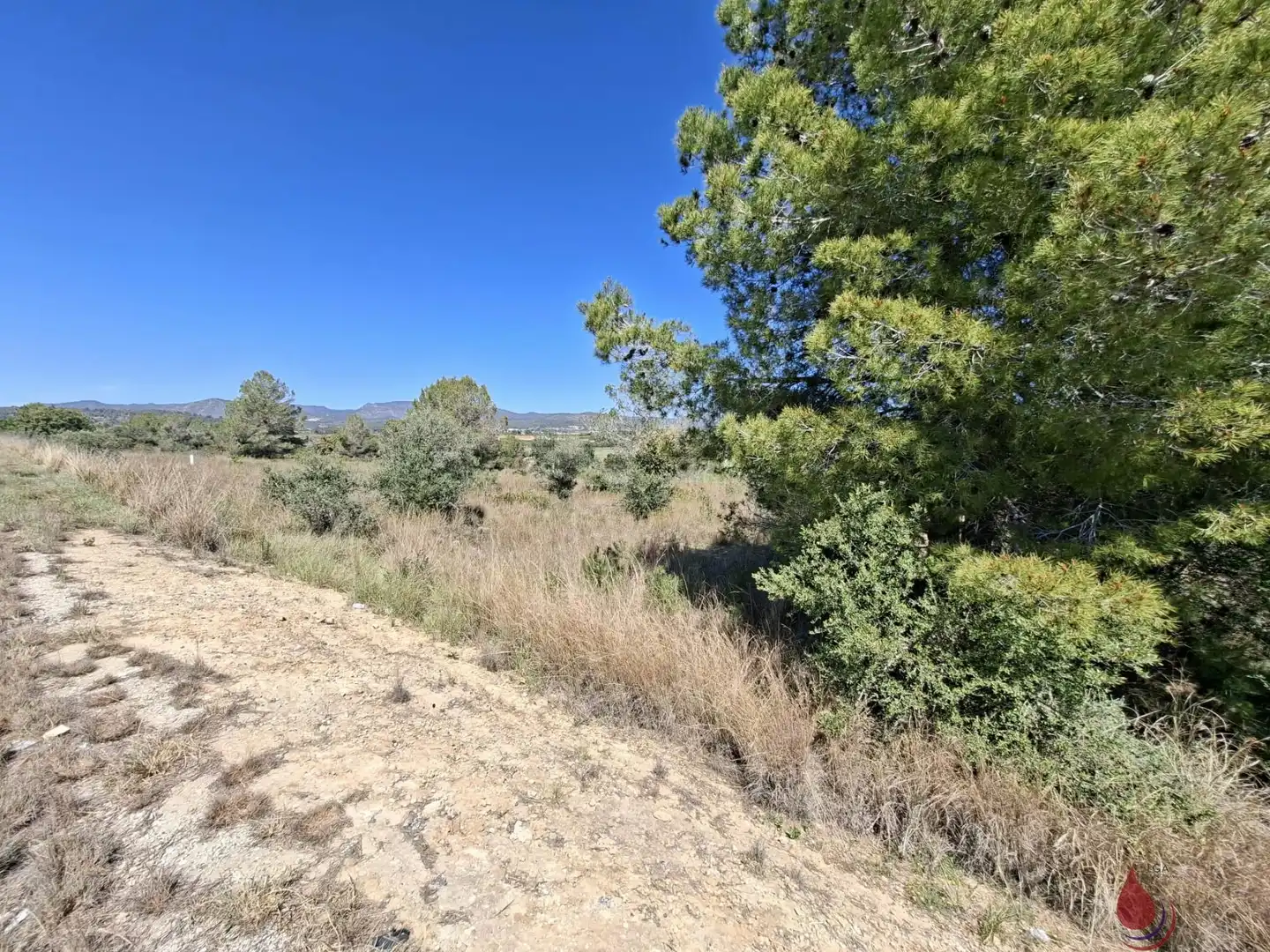 Terrenos y solares en venta en CTRA EL VENDRELL 593, imagen 2