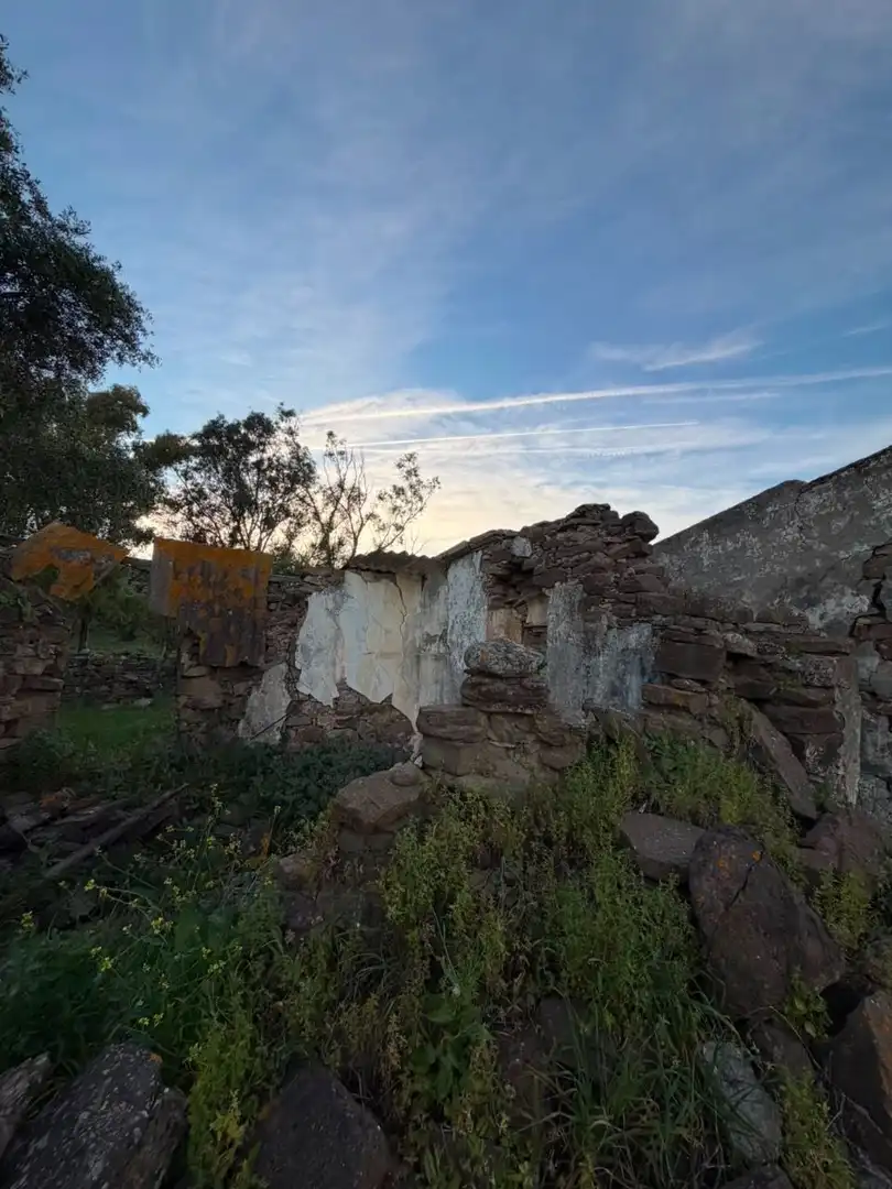 Vista exterior de Finca rústica en venta en Tarifa
