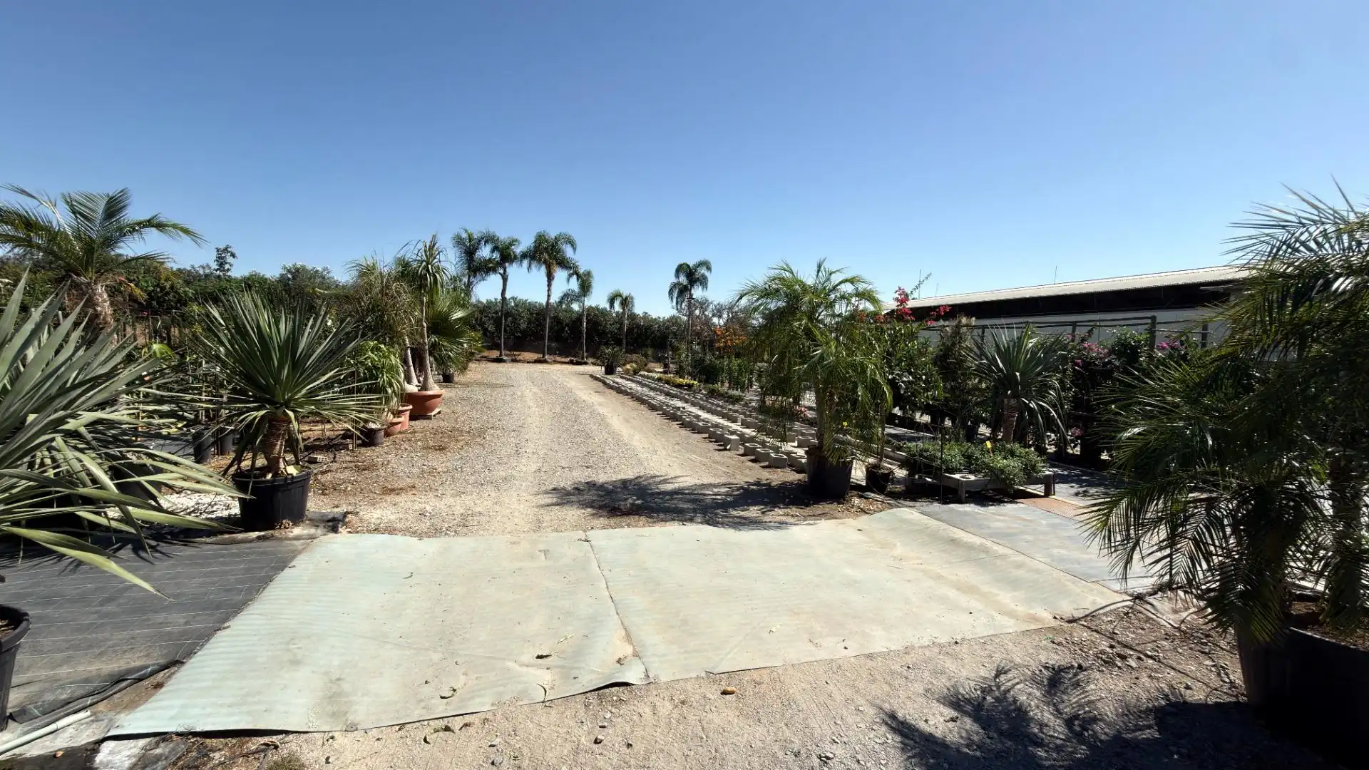 Xalet amb piscina en venda a Cartaya, imagen 67