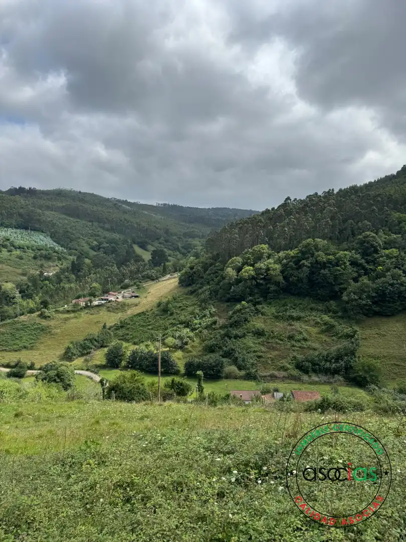 Vista exterior de Terreny en venda en Villaviciosa