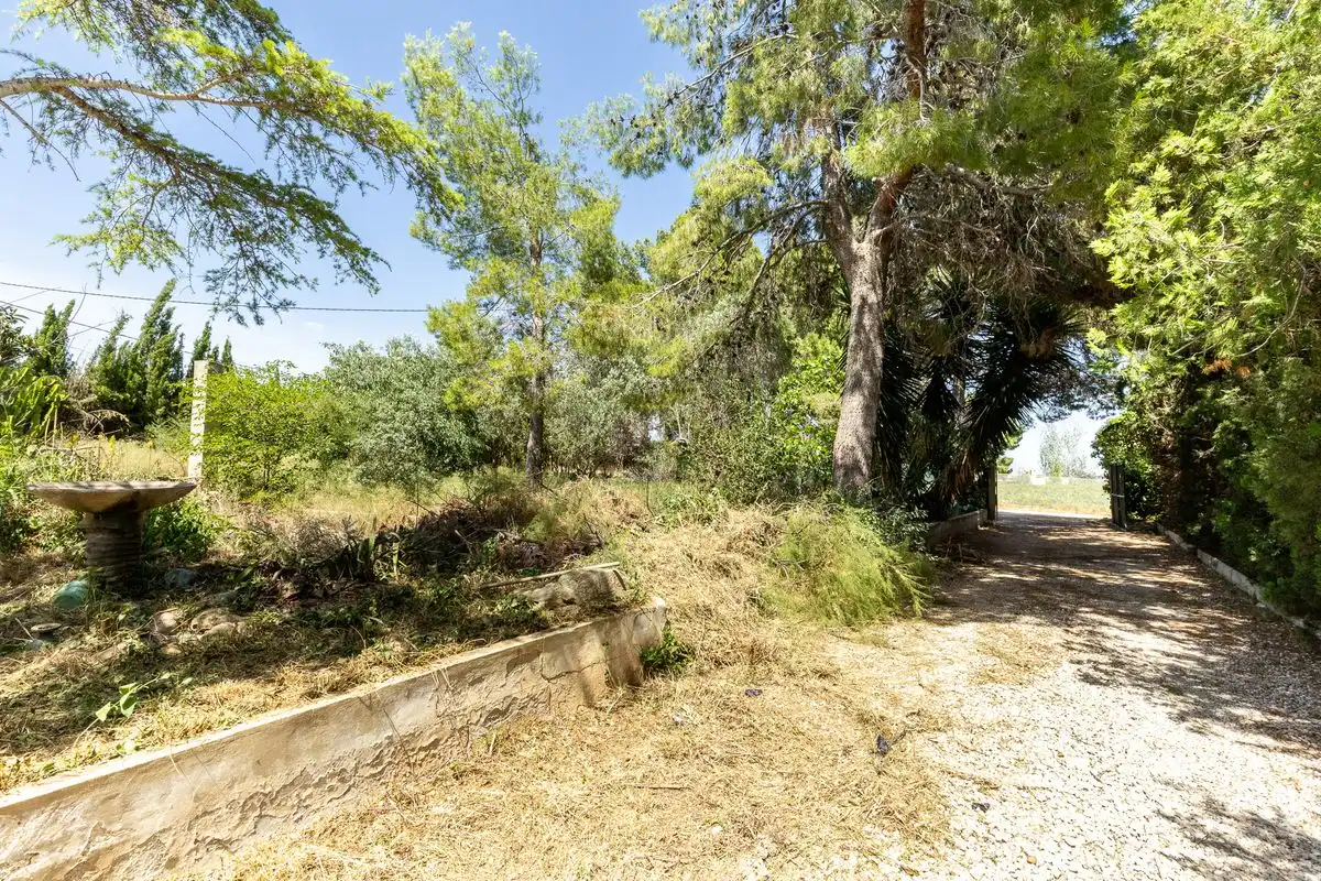 Detached house with terrace for sale in Poligono 22, Parcela, imagen 32