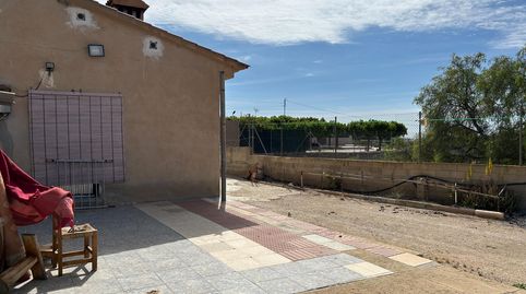 Photo 3 of Houses for sale in Partida Pla, Novelda, Alicante