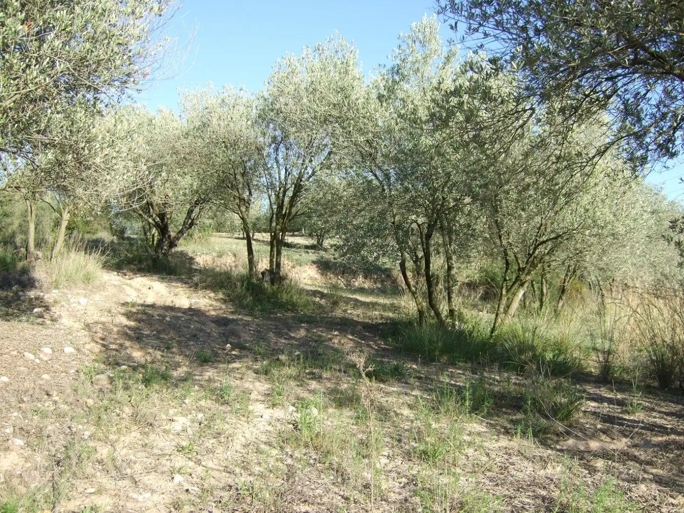 Residential land for sale in Castellbisbal, imagen 5