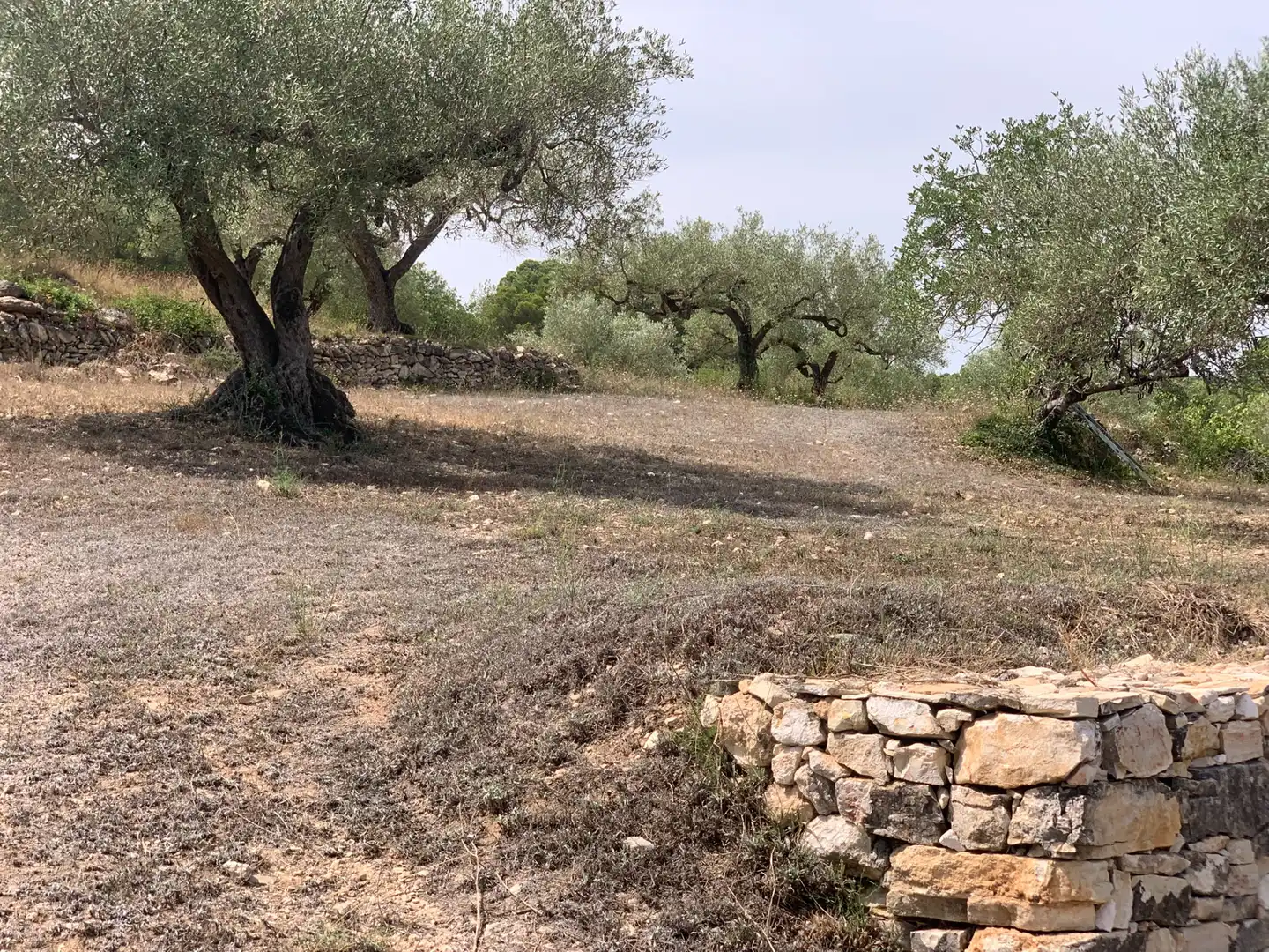 Country homes for sale in Tivissa  with Terrace