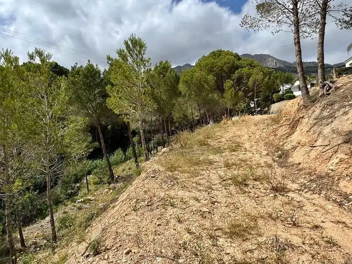 Grundstücke und Bauplätze zum Verkauf in Altea la Vella, imagen 5