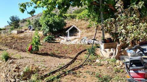 Foto 5 de Casa adosada en venta en Raiguero de Bonanza, Montepinar - La Aparecida - Raiguero, Orihuela
