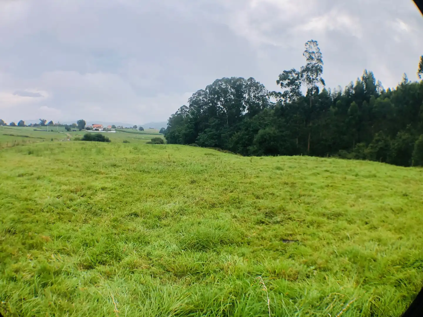 Grundstücke zum Verkauf in Piélagos