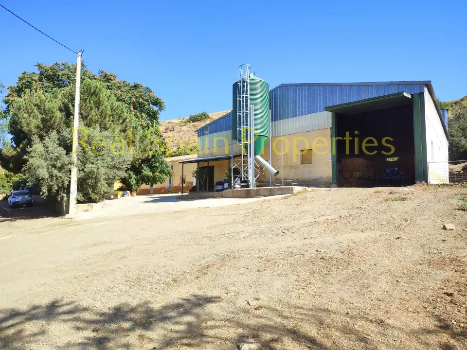 Local comercial en venda a Vélez-Rubio, imagen 30