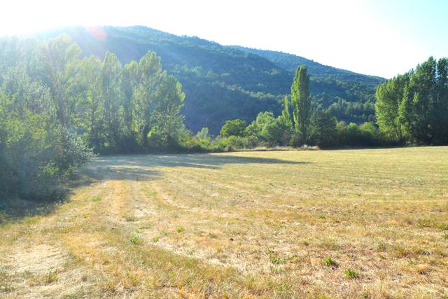 Terreno en Venta en Jasa