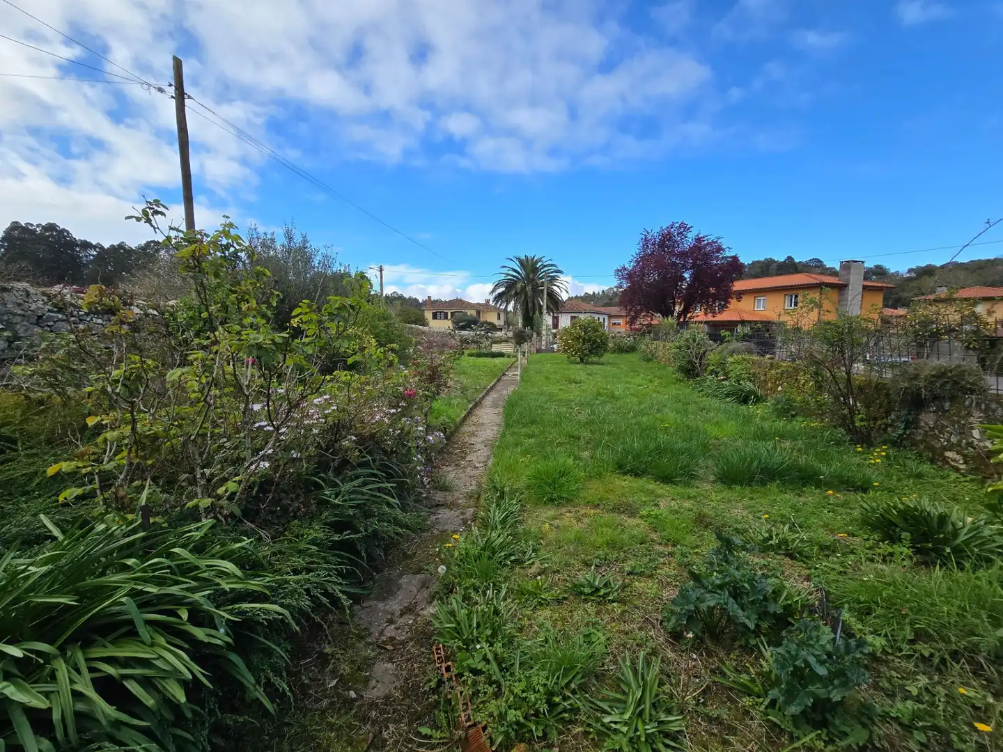 Casa amb jardí en venda a nueva, imagen 32